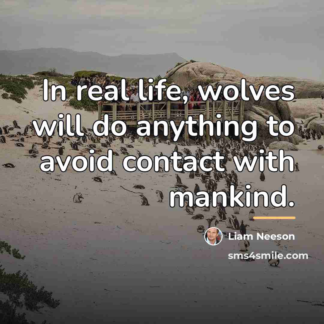 “In real life, wolves will do anything to avoid contact…” quote by Liam Neeson