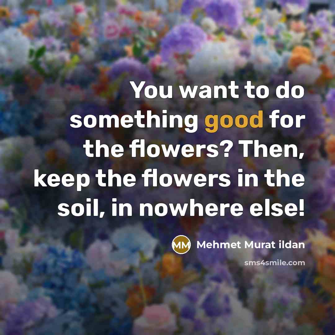 “You want to do something good for the flowers? Then,…” quote by Mehmet Murat Ildan