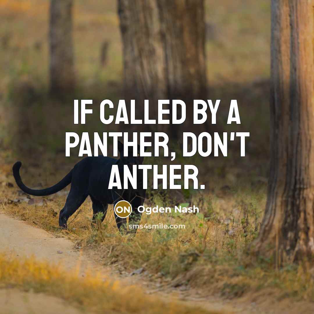 “If called by a panther, don't anther.…” quote by Ogden Nash