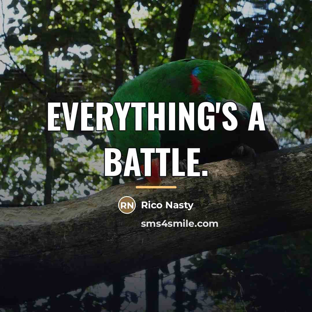 “Everything's a battle.…” quote by Rico Nasty