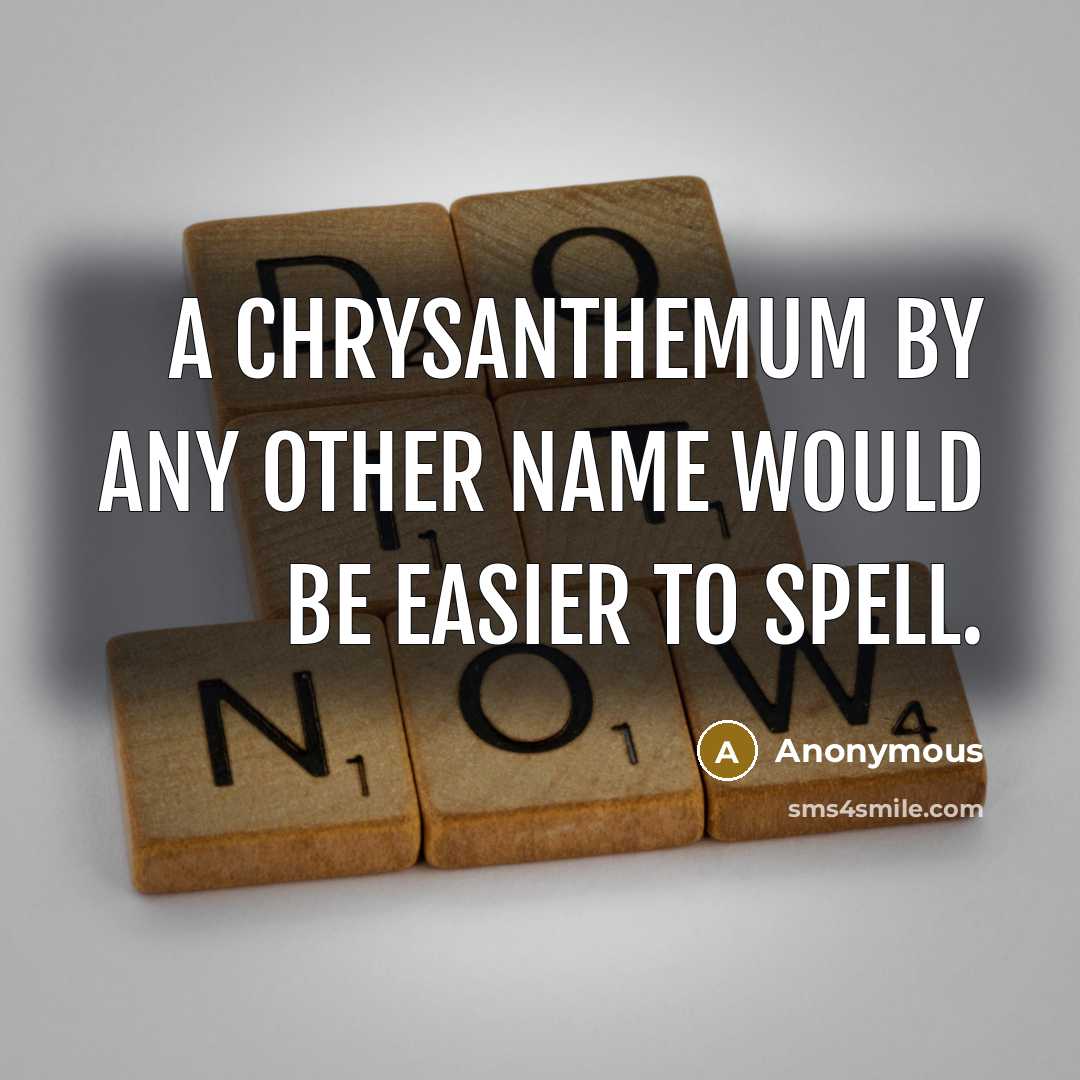 “A chrysanthemum by any other name would be easier to spell.” quote by Anonymous