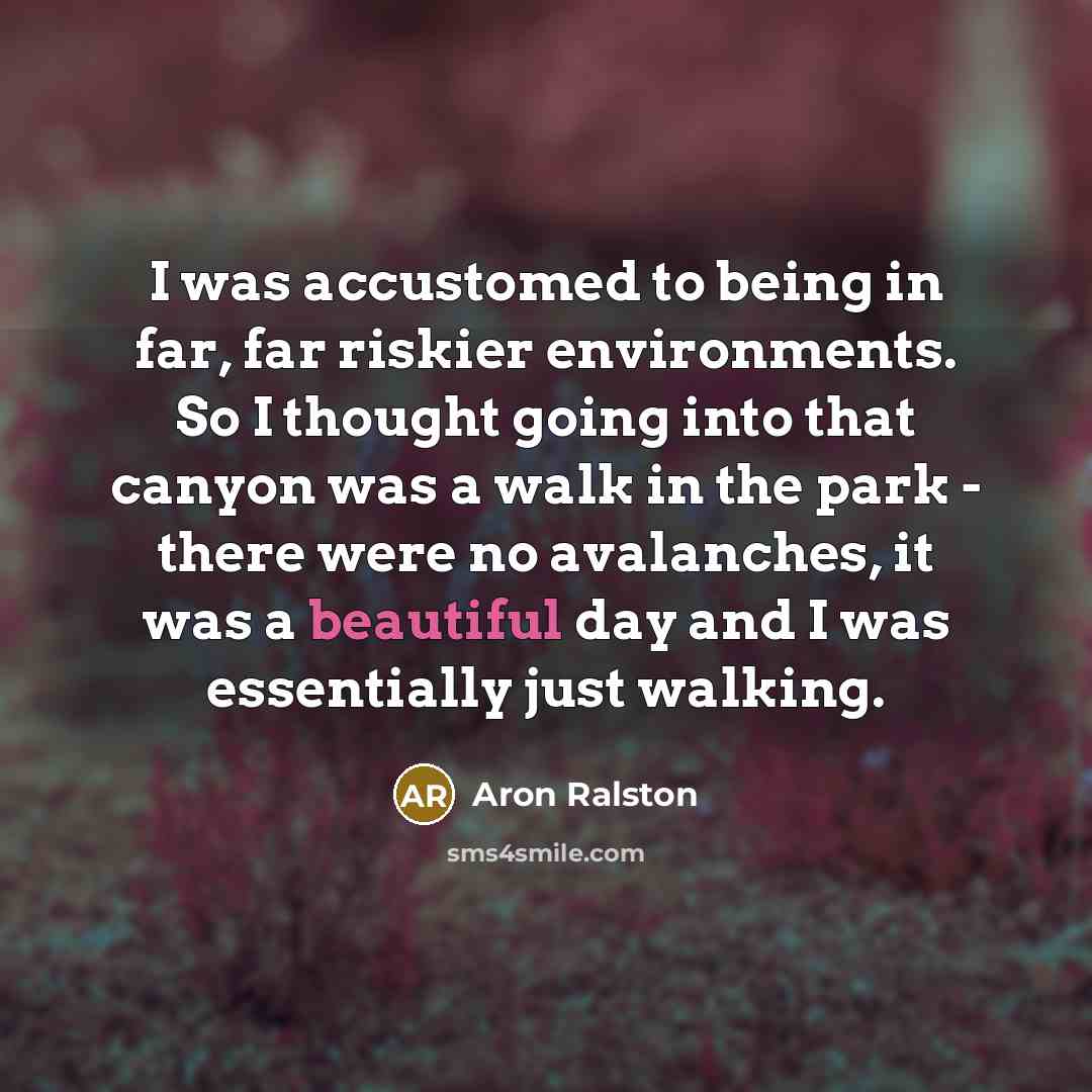 “I was accustomed to being in far, far riskier environments.…” quote by Aron Ralston