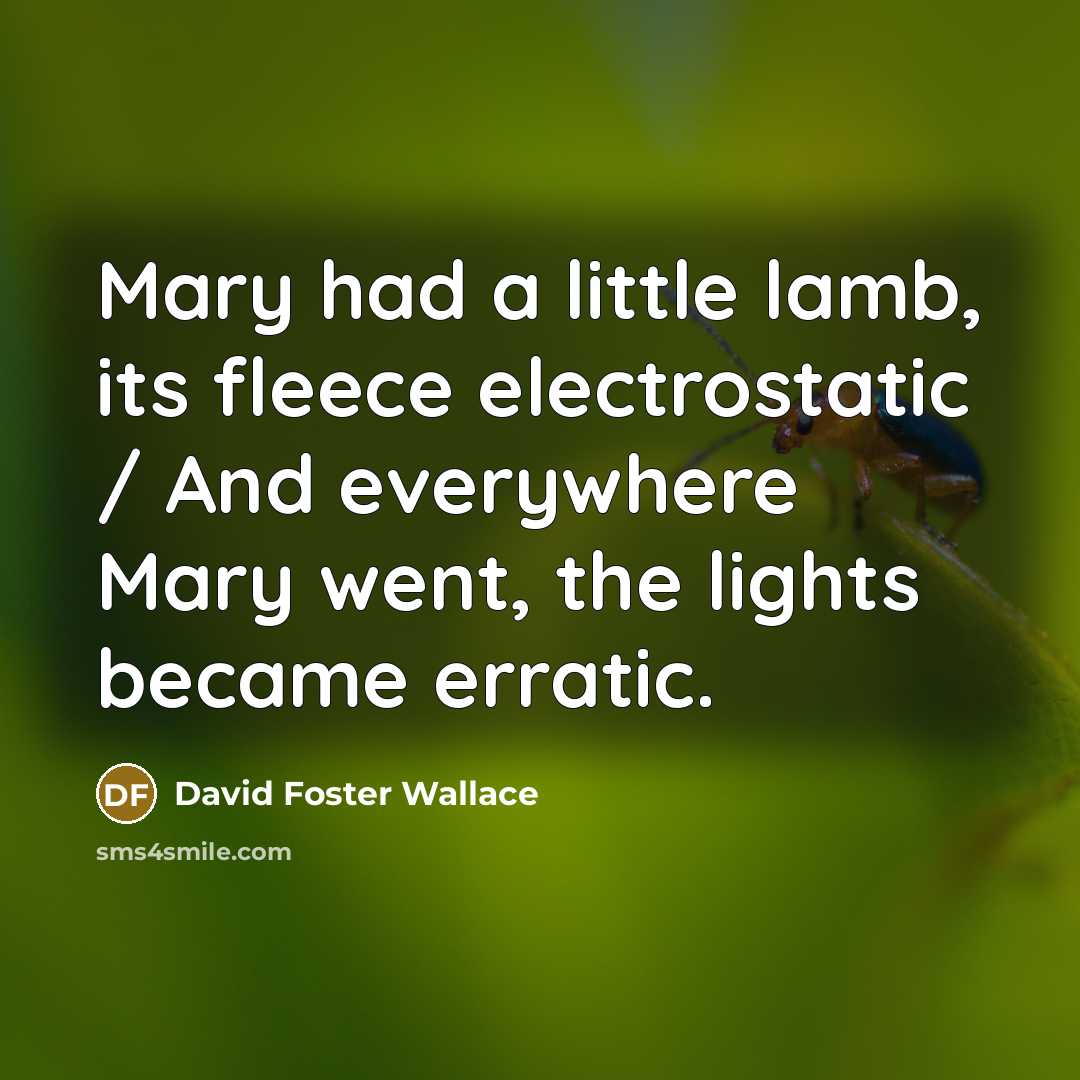 “Mary had a little lamb, its fleece electrostatic / And…” quote by David Foster Wallace