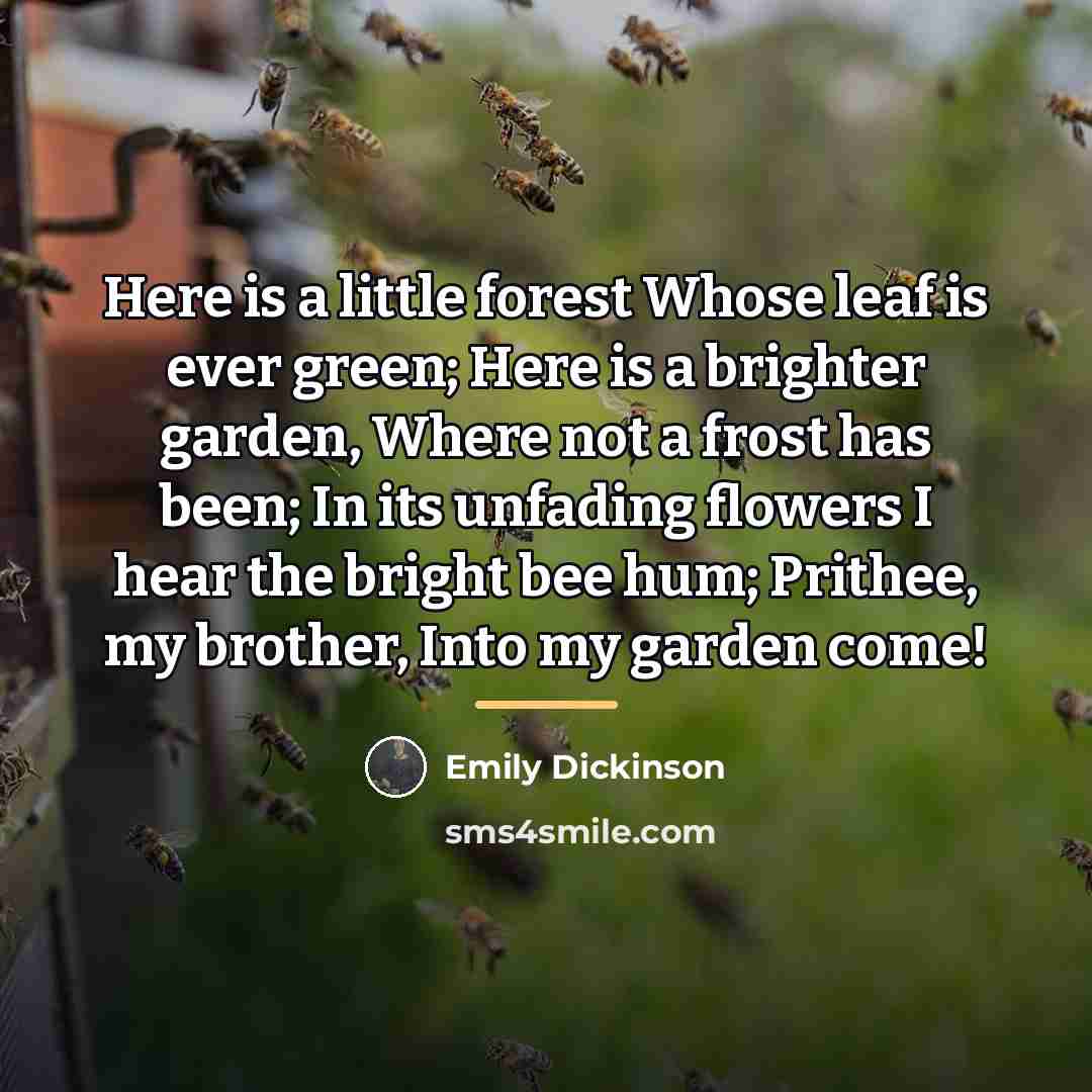 “Here is a little forest Whose leaf is ever green;…” quote by Emily Dickinson