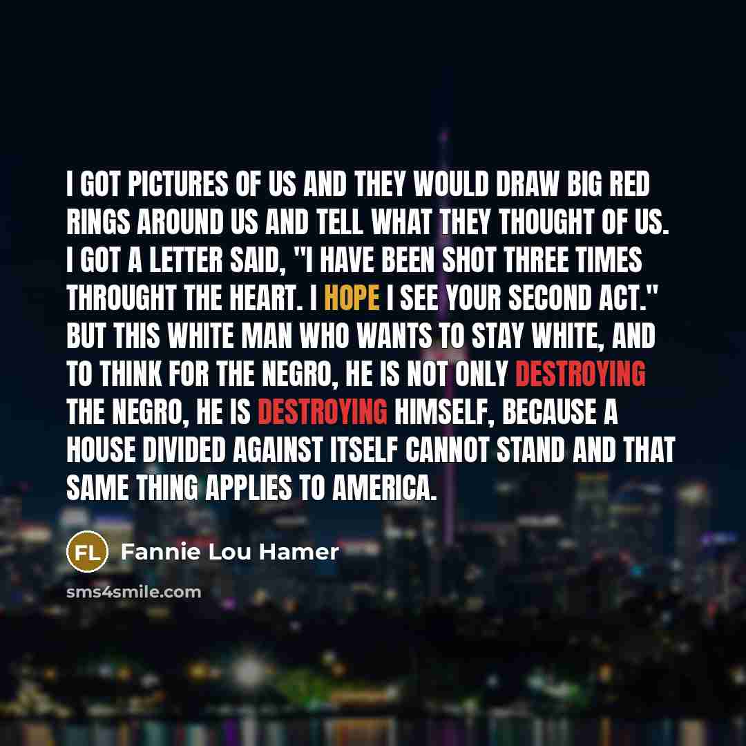 “I got pictures of us and they would draw big…” quote by Fannie Lou Hamer