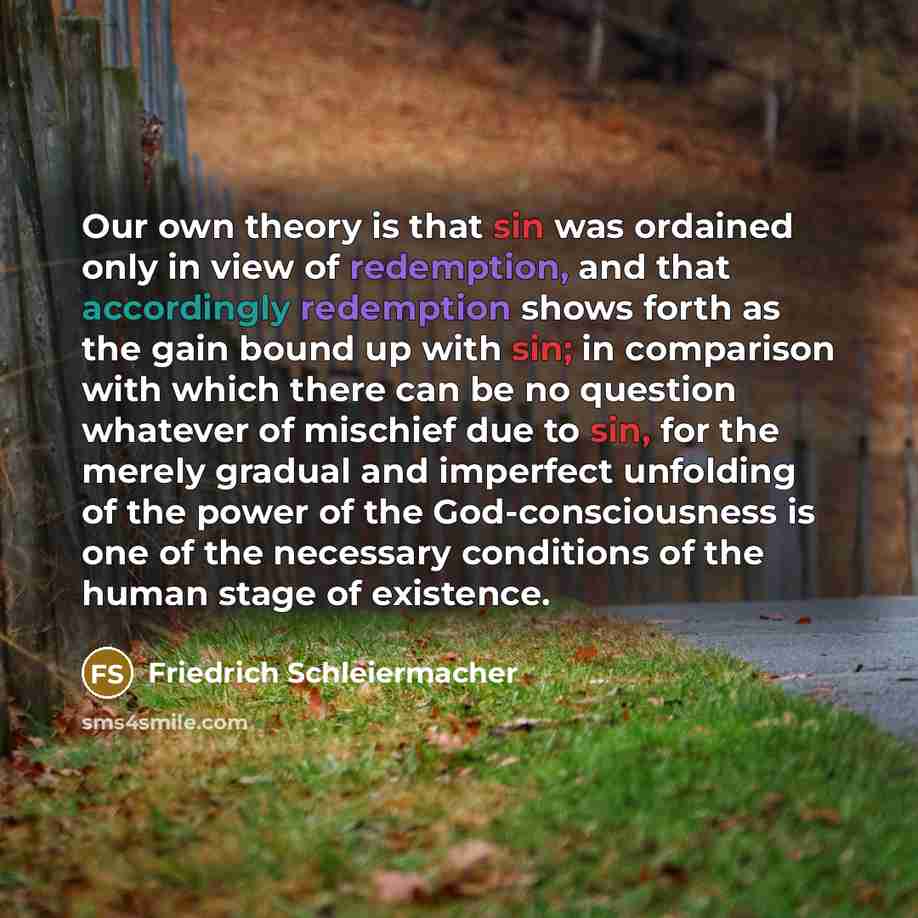 “Our own theory is that sin was ordained only in…” quote by Friedrich Schleiermacher