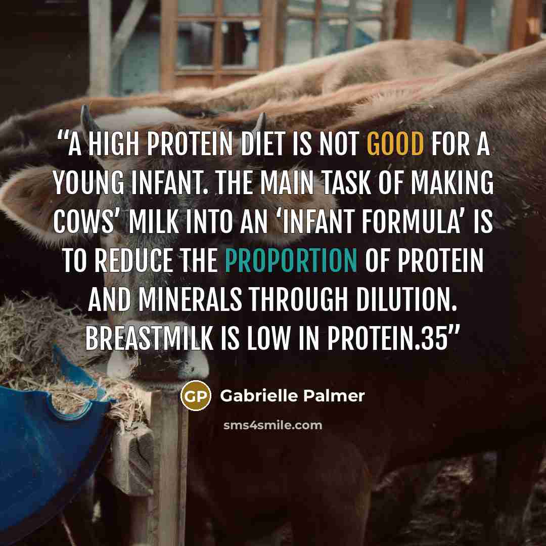 “a high protein diet is not good for a young infant. The main task of making cows’ milk into an ‘infant formula’ is to reduce the proportion of protein and minerals through dilution. Breastmilk is low in protein.35” quote by Gabrielle Palmer