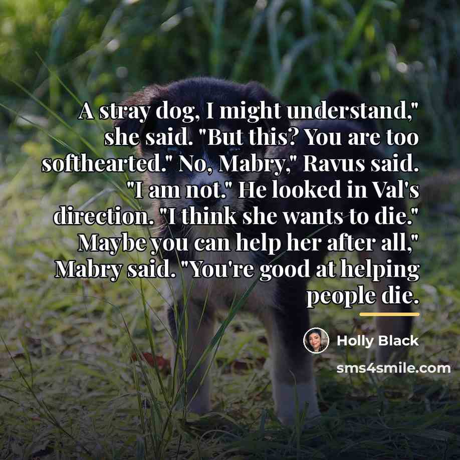 “A stray dog, I might understand," she said. "But this?…” quote by Holly Black