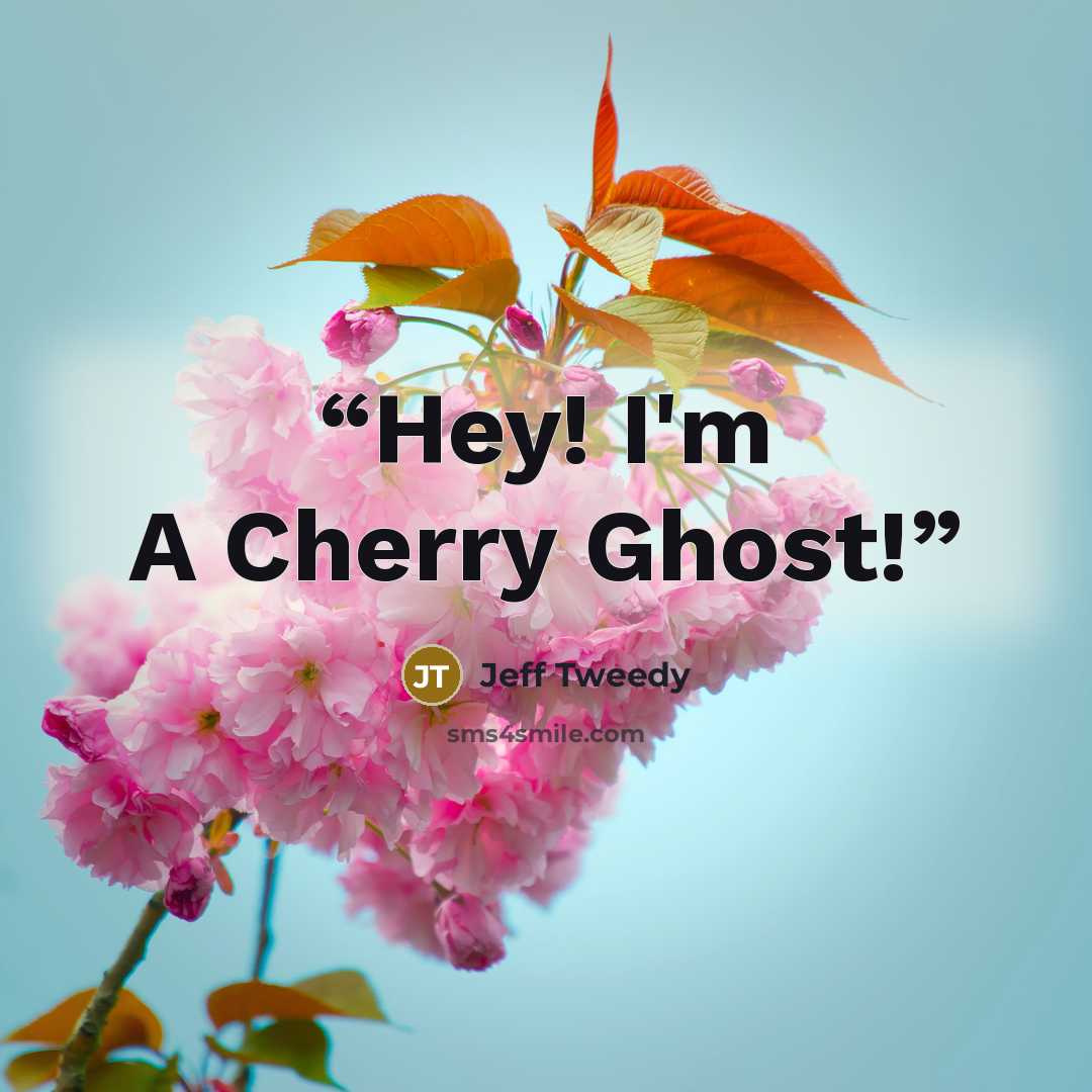“Hey! I'm A Cherry Ghost!” quote by Jeff Tweedy