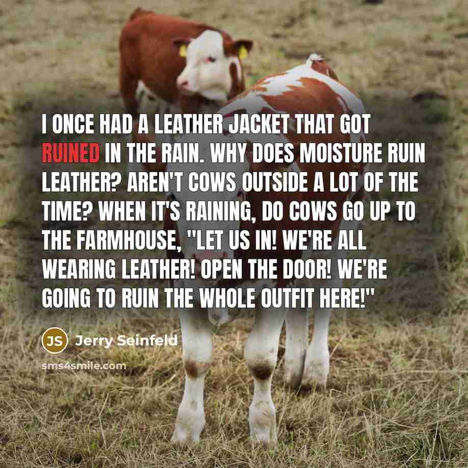 “I once had a leather jacket that got ruined in…” quote by Jerry Seinfeld