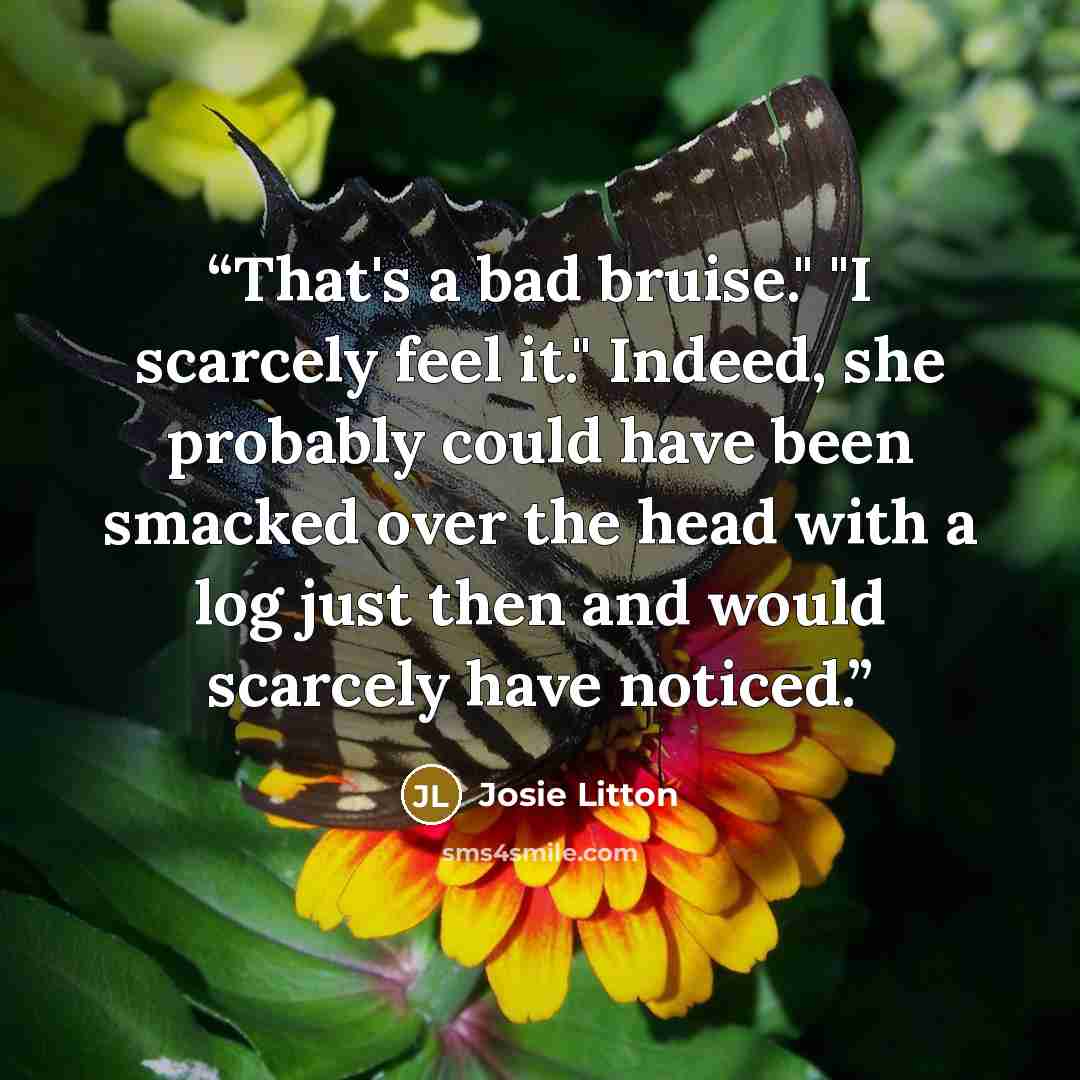 “That's a bad bruise." "I scarcely feel it." Indeed, she probably could have been smacked over the head with a log just then and would scarcely have noticed.” quote by Josie Litton