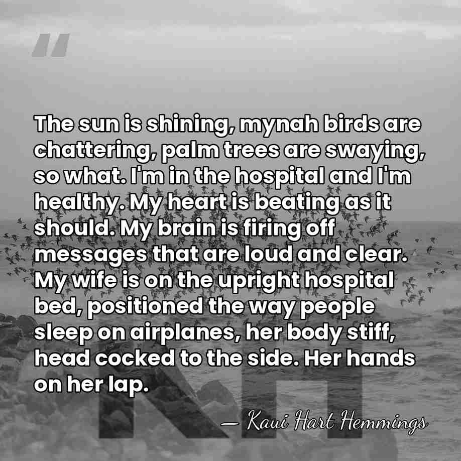 The sun is shining, mynah birds are chattering, palm trees are swaying,&hellip; - Kaui Hart Hemmings