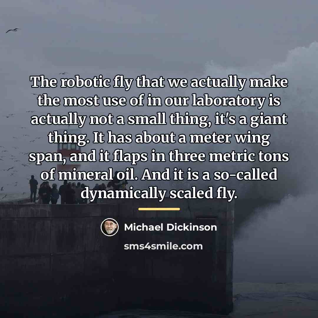“The robotic fly that we actually make the most use…” quote by Michael Dickinson