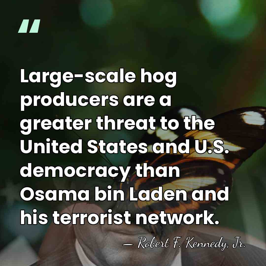 Large-scale hog producers are a greater threat to the United States and&hellip; - Robert F. Kennedy, Jr.
