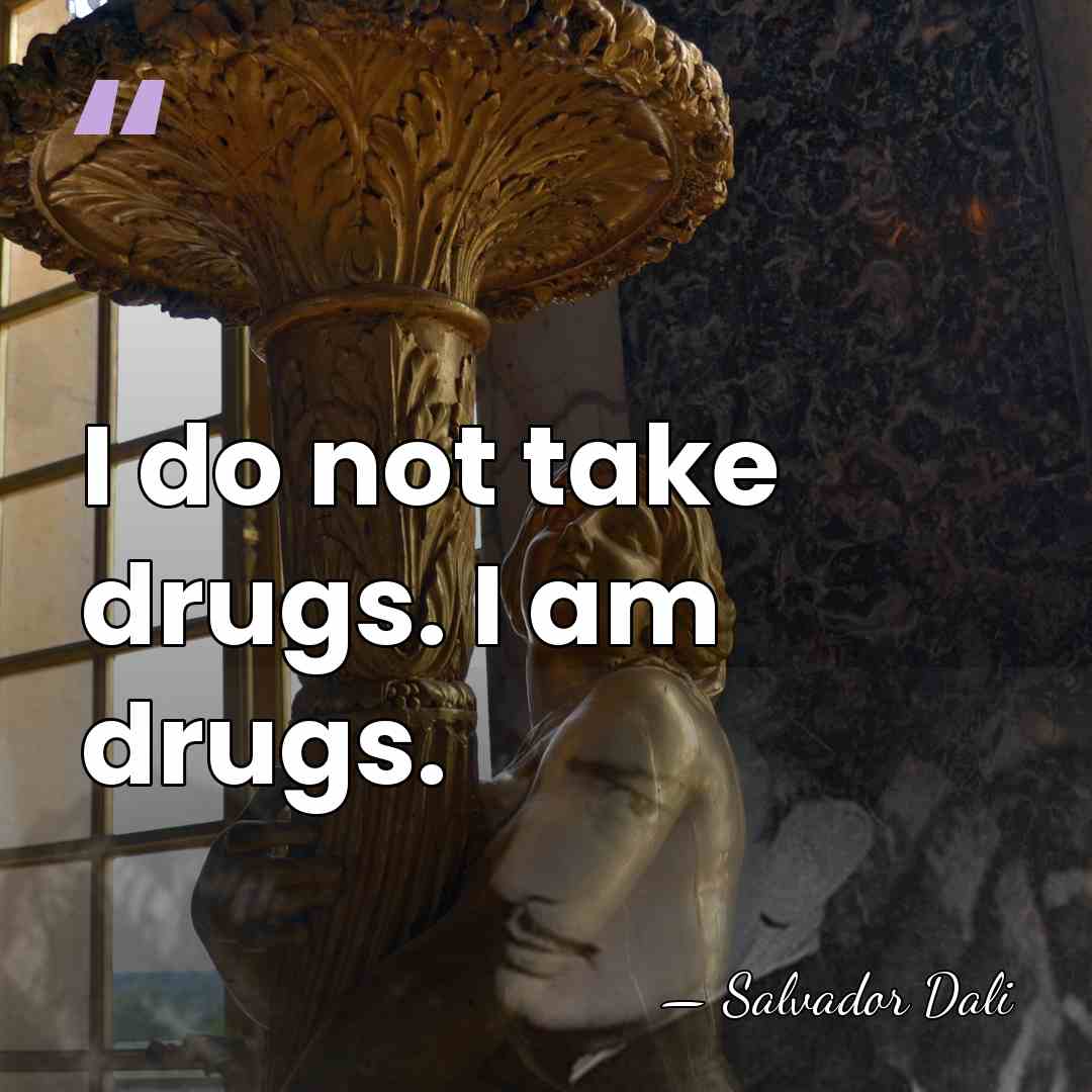 I do not take drugs. I am drugs. - Salvador Dali