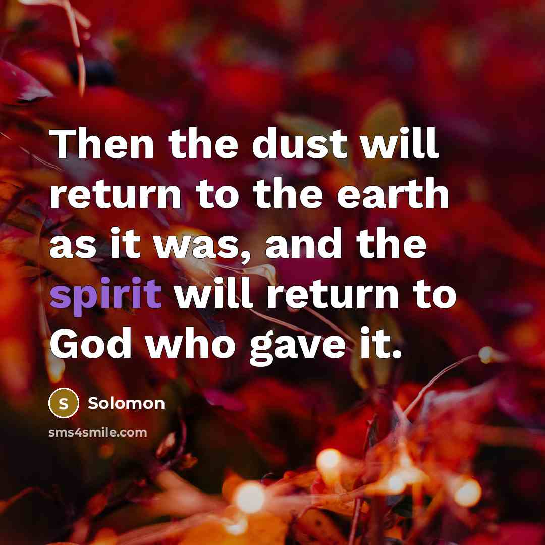 “Then the dust will return to the earth as it…” quote by Solomon