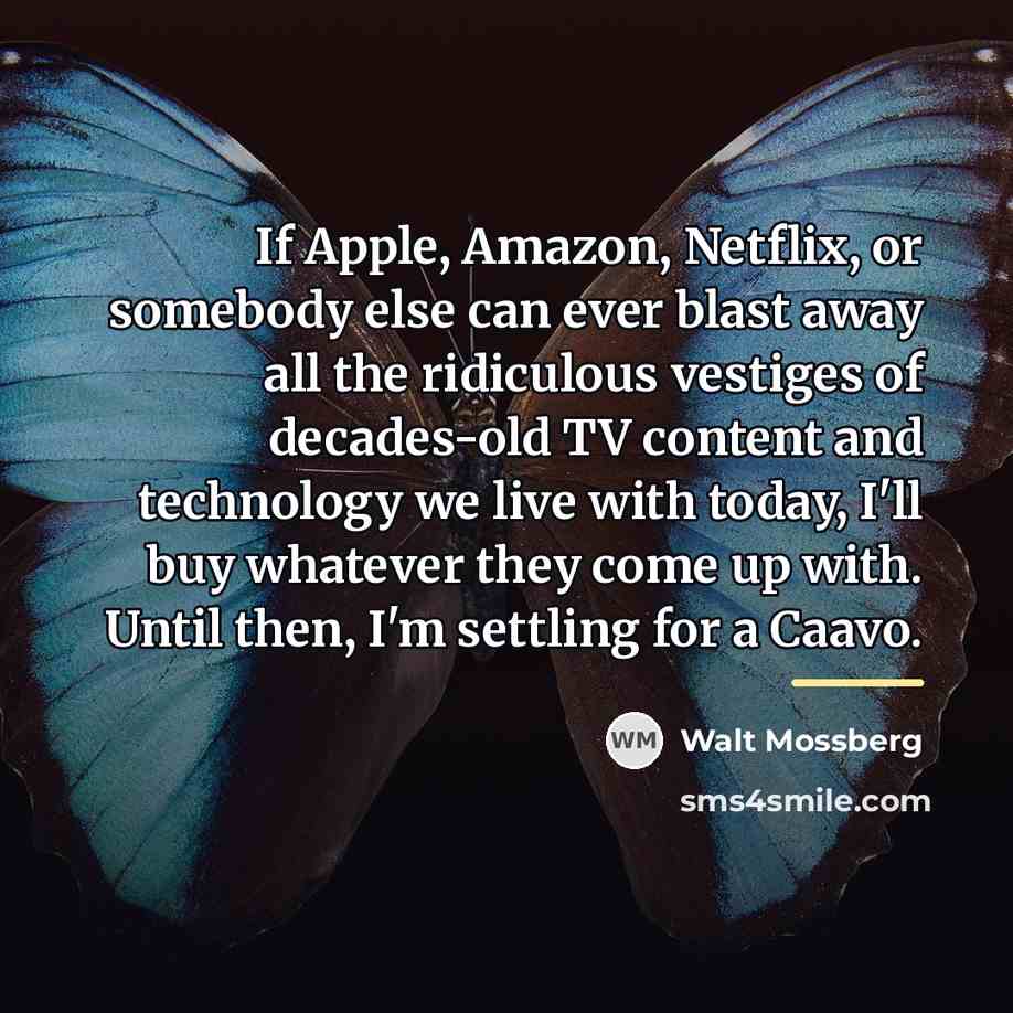 “If Apple, Amazon, Netflix, or somebody else can ever blast…” quote by Walt Mossberg