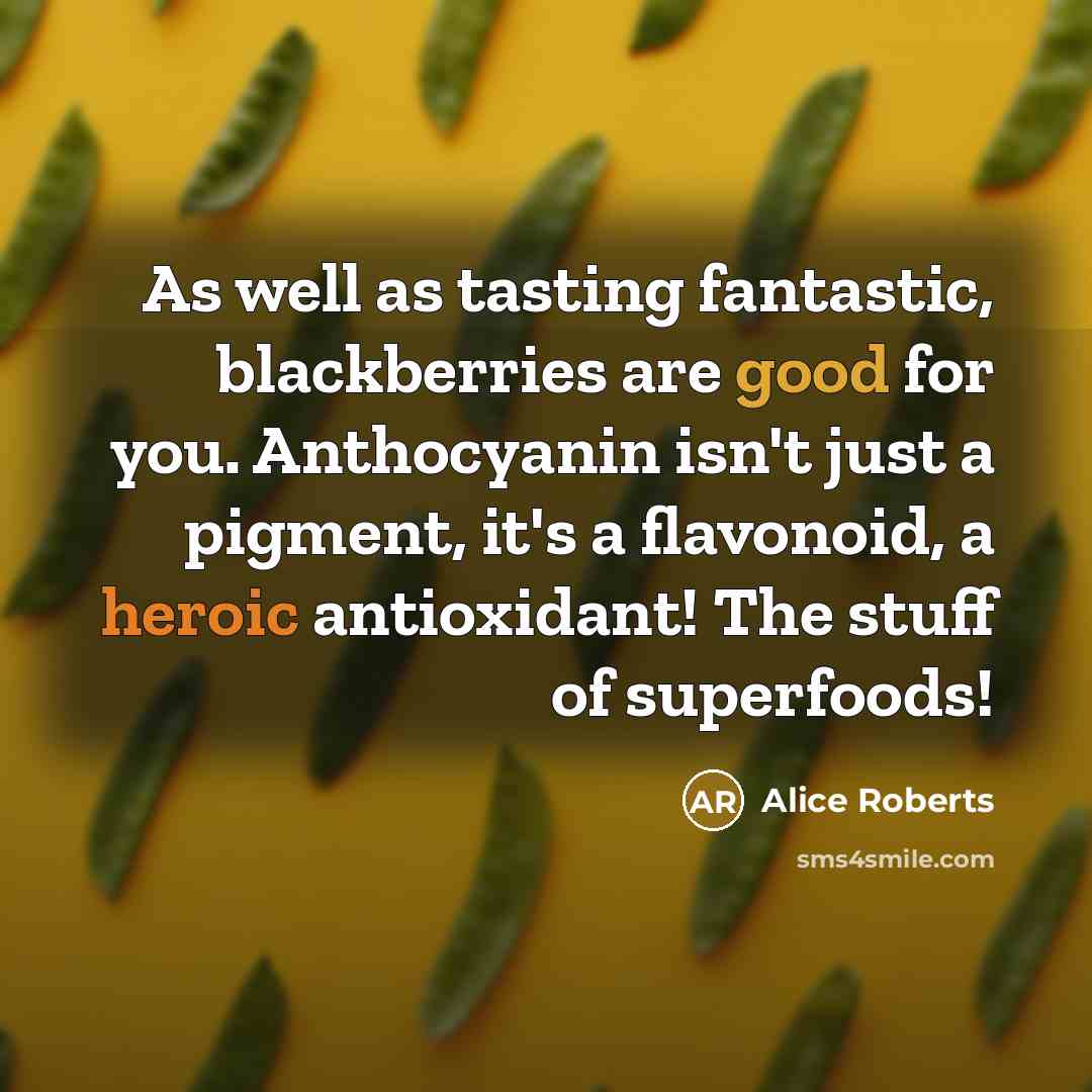 “As well as tasting fantastic, blackberries are good for you. Anthocyanin isn't just a pigment, it's a flavonoid, a heroic antioxidant! The stuff of superfoods!” quote by Alice Roberts
