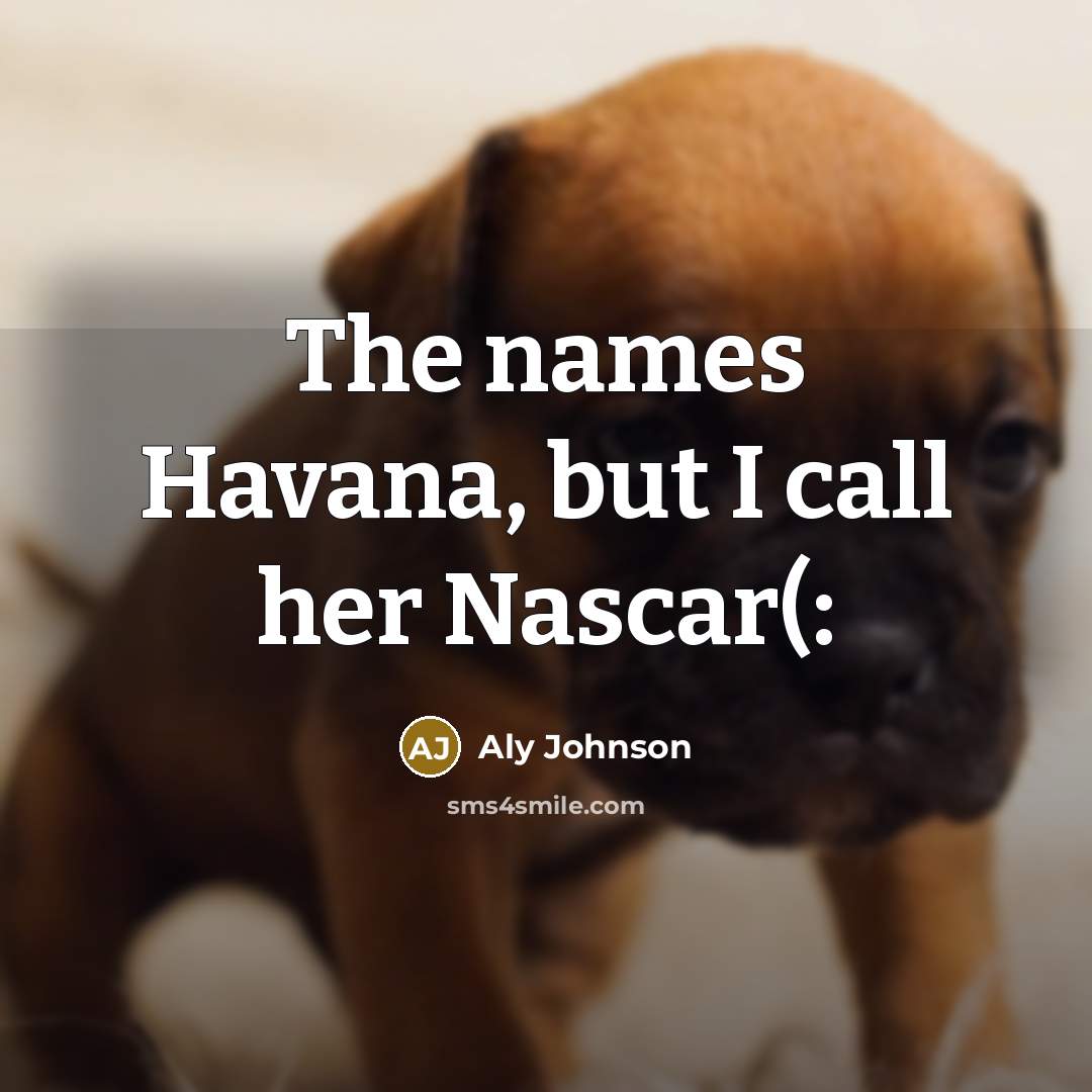 “The names Havana, but I call her Nascar(:…” quote by Aly Johnson