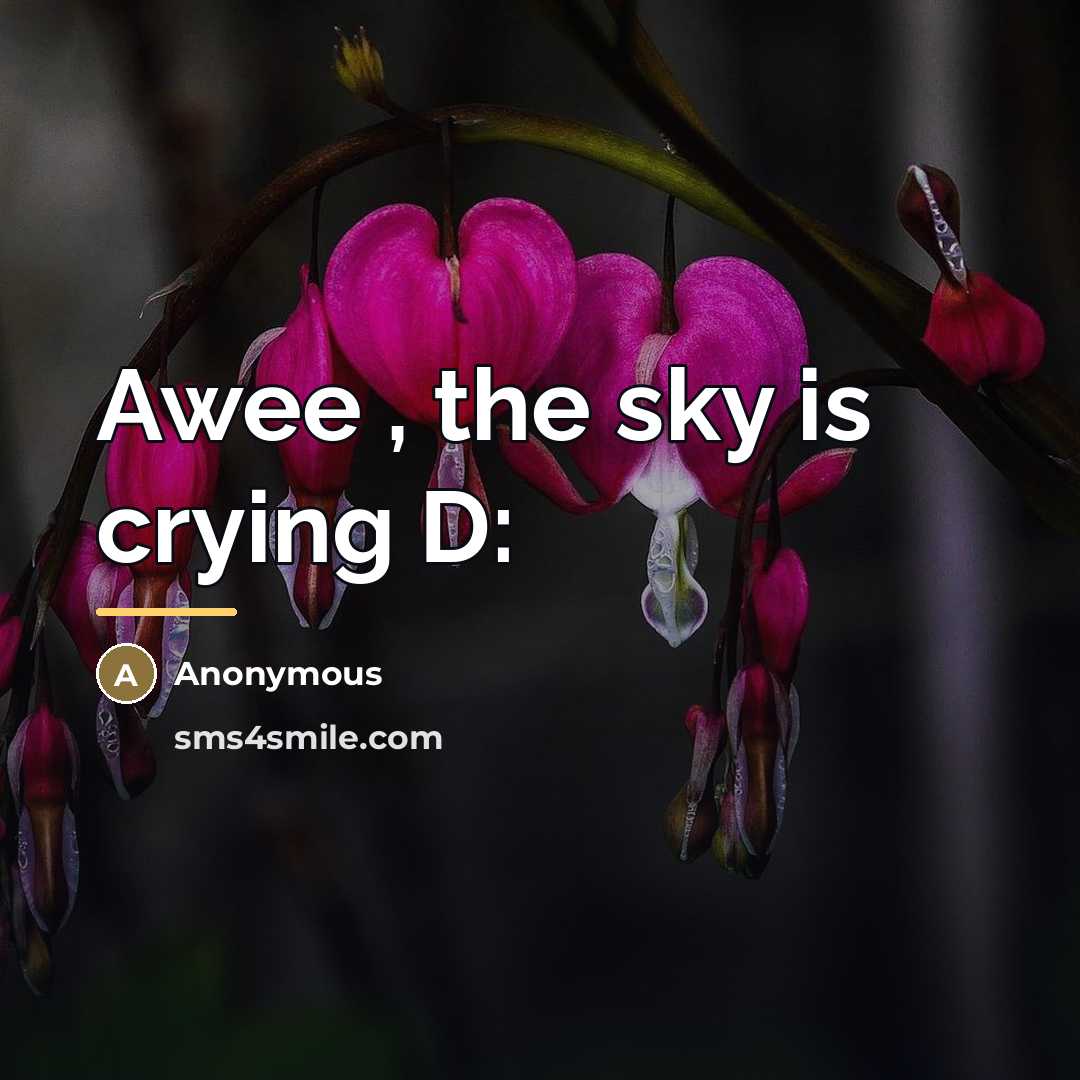 “Awee , the sky is crying D:…” quote by Anonymous