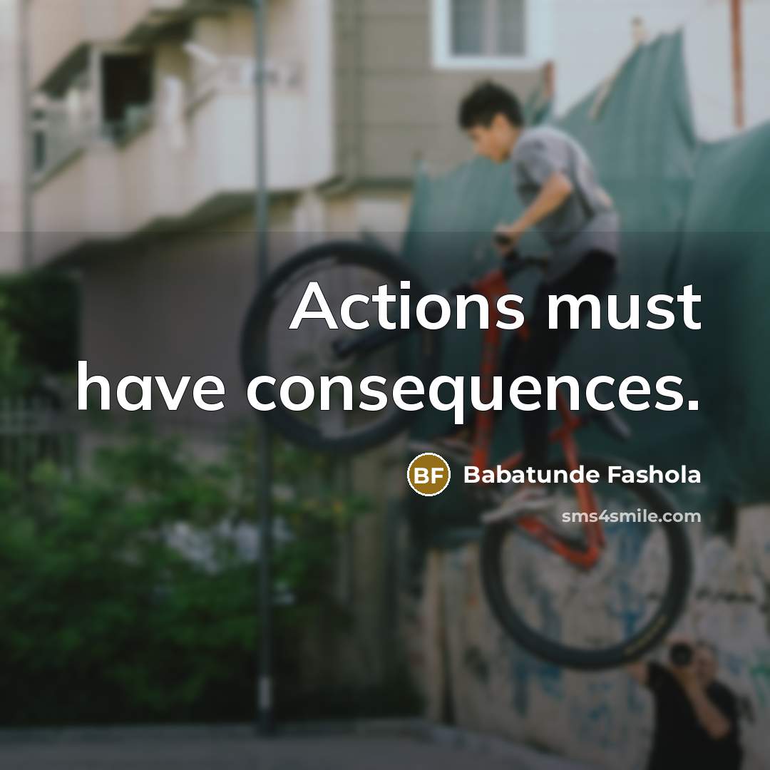 “Actions must have consequences.…” quote by Babatunde Fashola