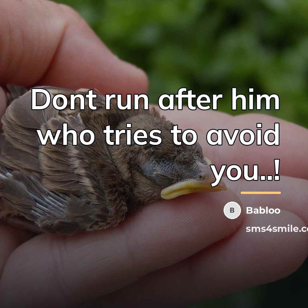 “Dont run after him who tries to avoid you..!…” quote by Babloo