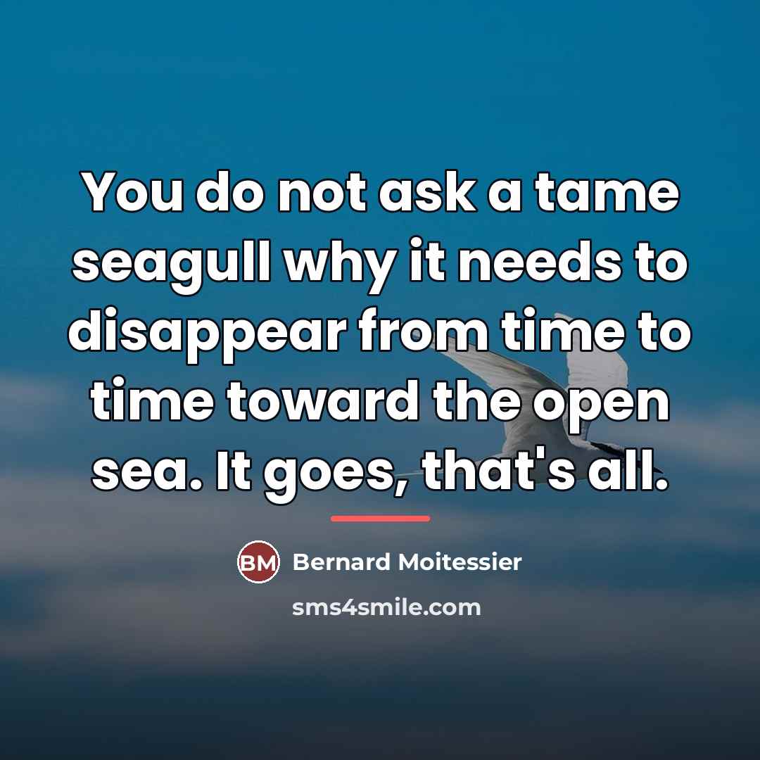 “You do not ask a tame seagull why it needs…” quote by Bernard Moitessier