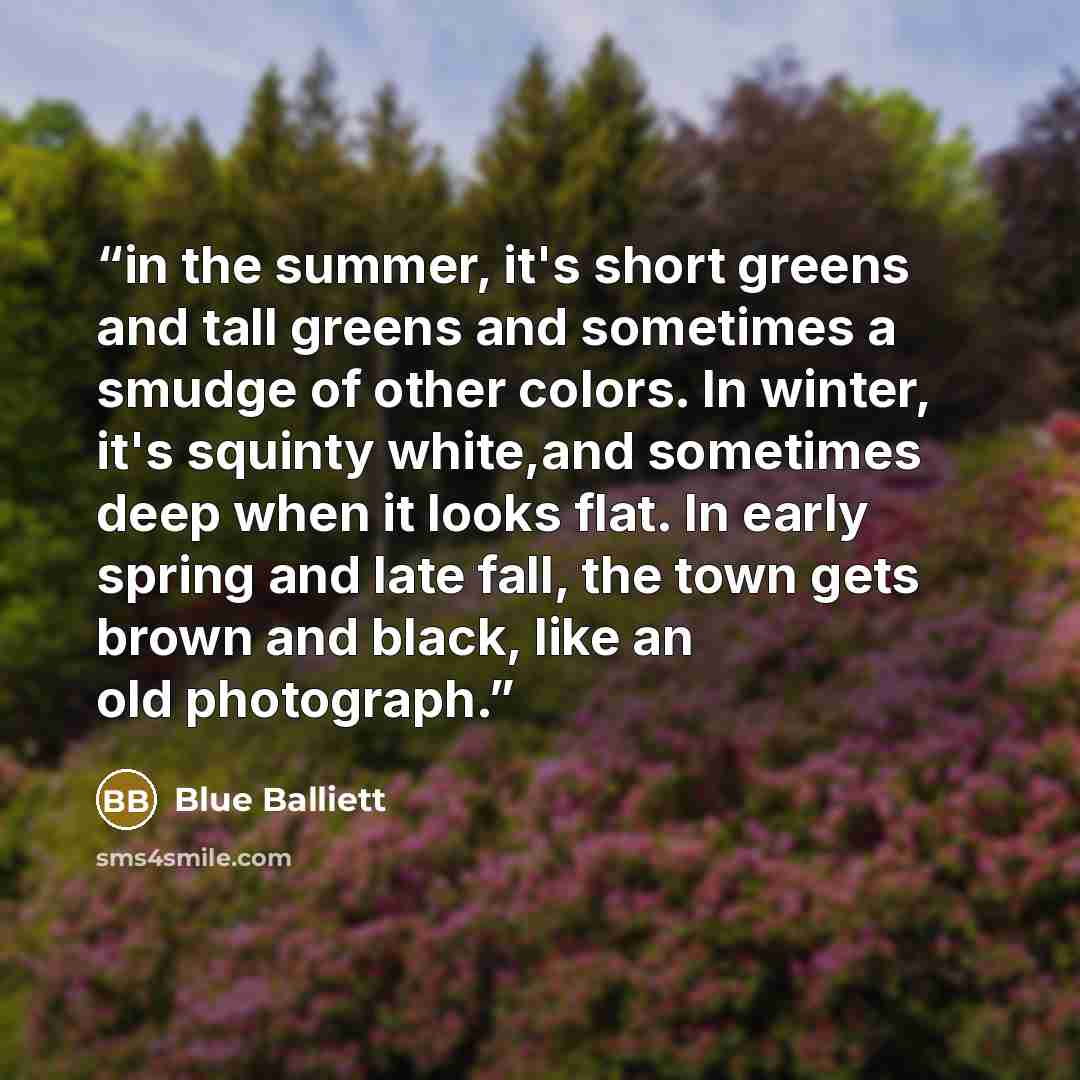 “in the summer, it's short greens and tall greens and sometimes a smudge of other colors. In winter, it's squinty white,and sometimes deep when it looks flat. In early spring and late fall, the town gets brown and black, like an old photograph.” quote by Blue Balliett
