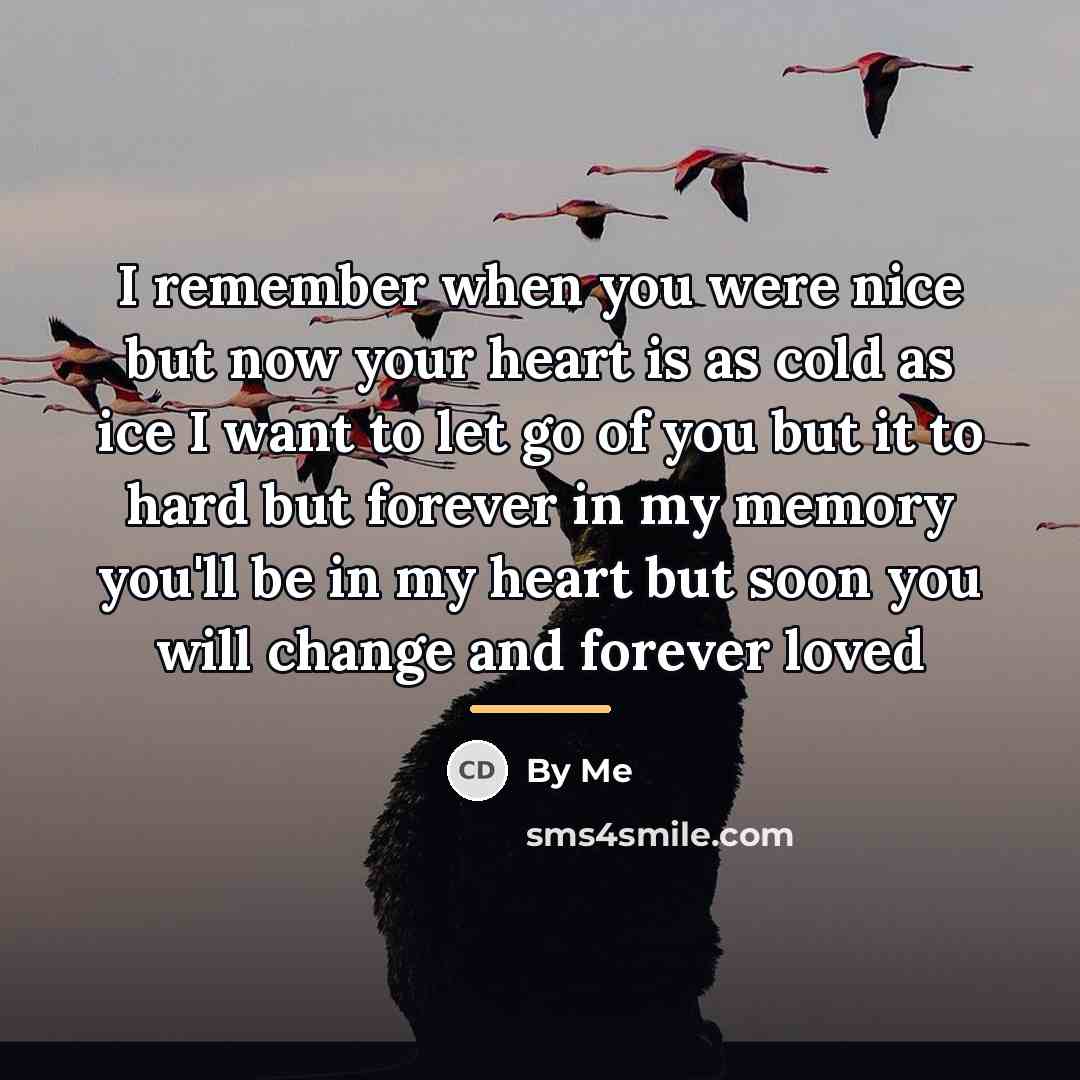 “I remember when you were nice but now your heart…” quote by By Me