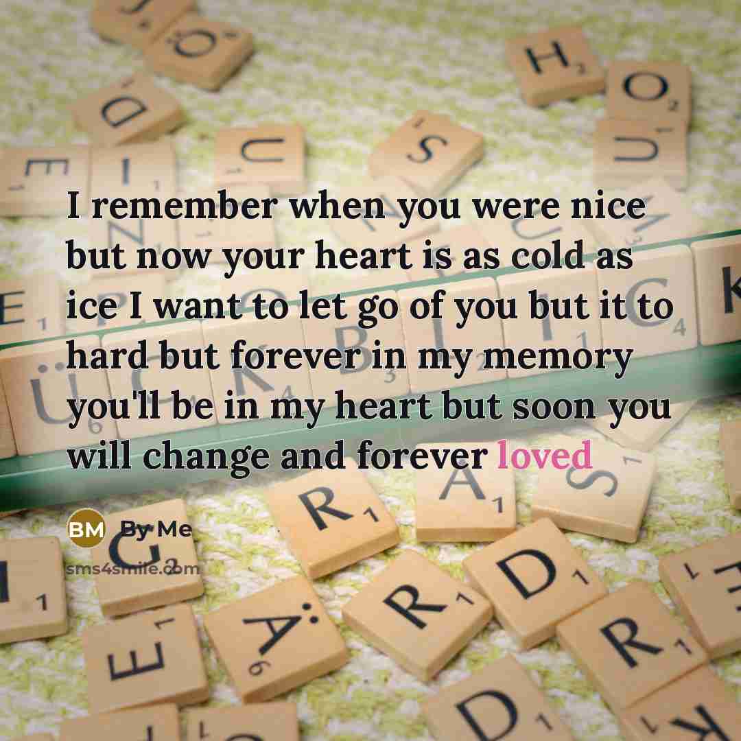 “I remember when you were nice but now your heart is as cold as ice I want to let go of you but it to hard but forever in my memory you'll be in my heart but soon you will change and forever loved” quote by By Me