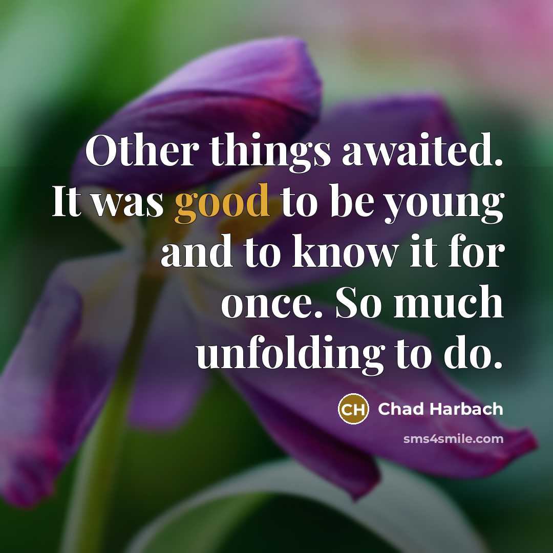 “Other things awaited. It was good to be young and…” quote by Chad Harbach