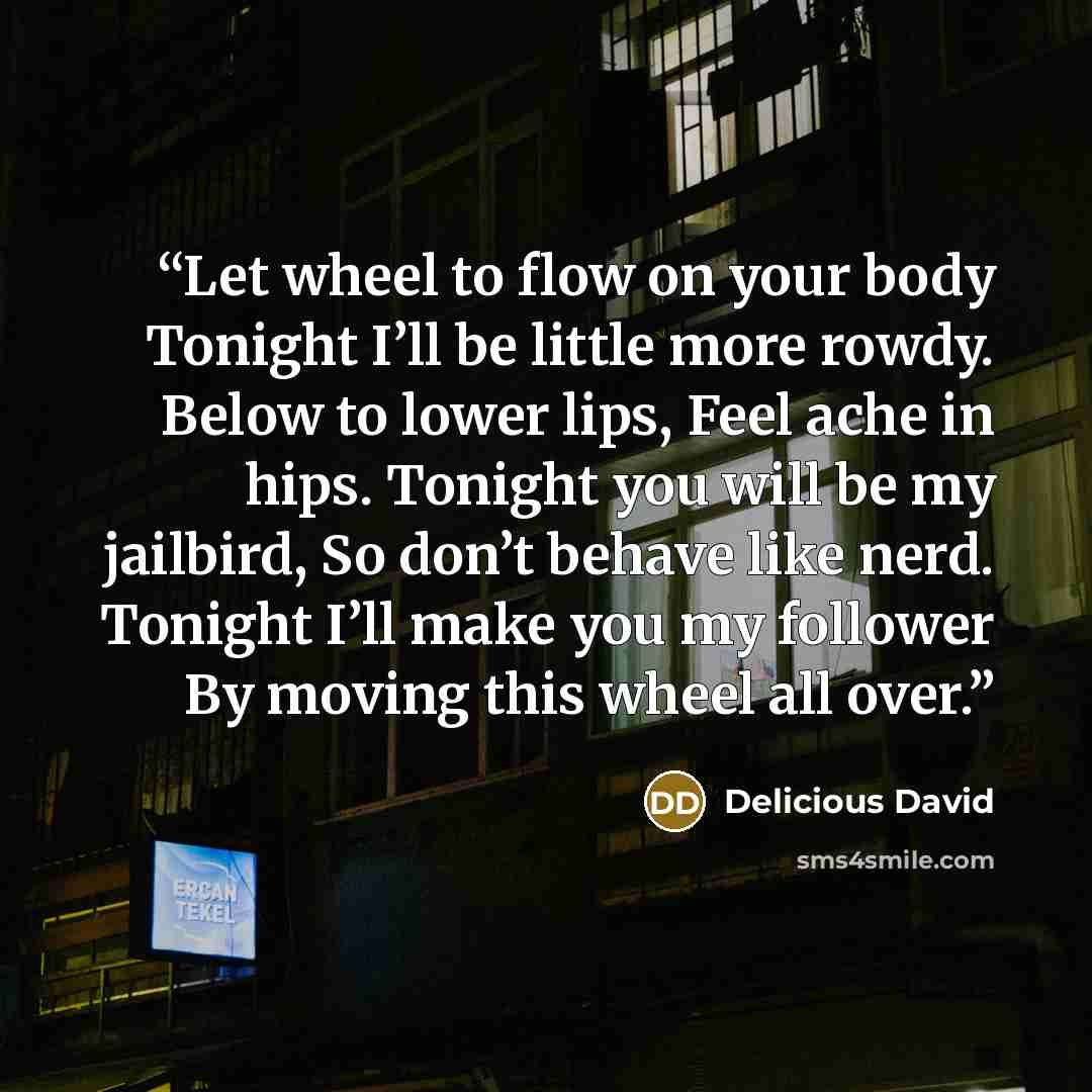 “Let wheel to flow on your body Tonight I’ll be little more rowdy. Below to lower lips, Feel ache in hips. Tonight you will be my jailbird, So don’t behave like nerd. Tonight I’ll make you my follower By moving this wheel all over.” quote by Delicious David