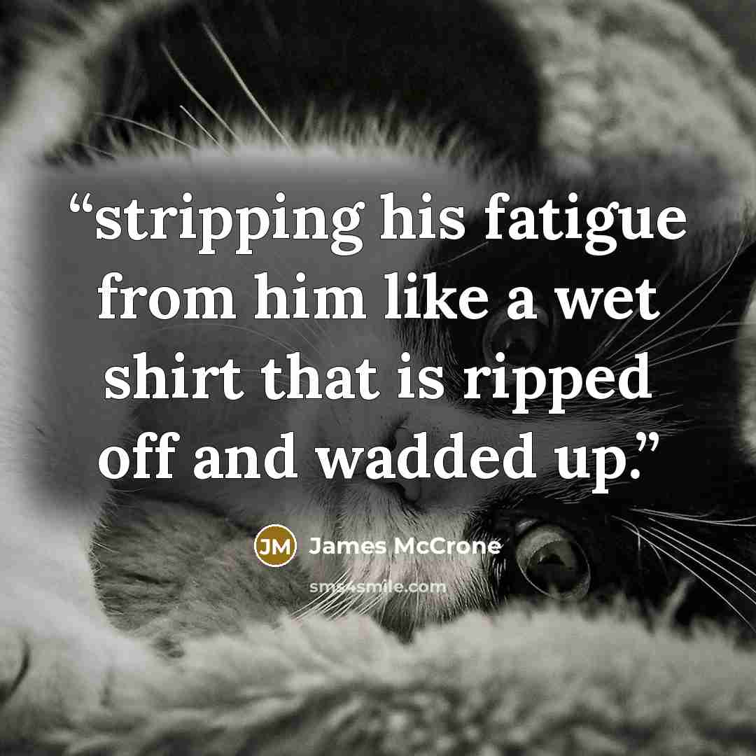 “stripping his fatigue from him like a wet shirt that is ripped off and wadded up.” quote by James McCrone