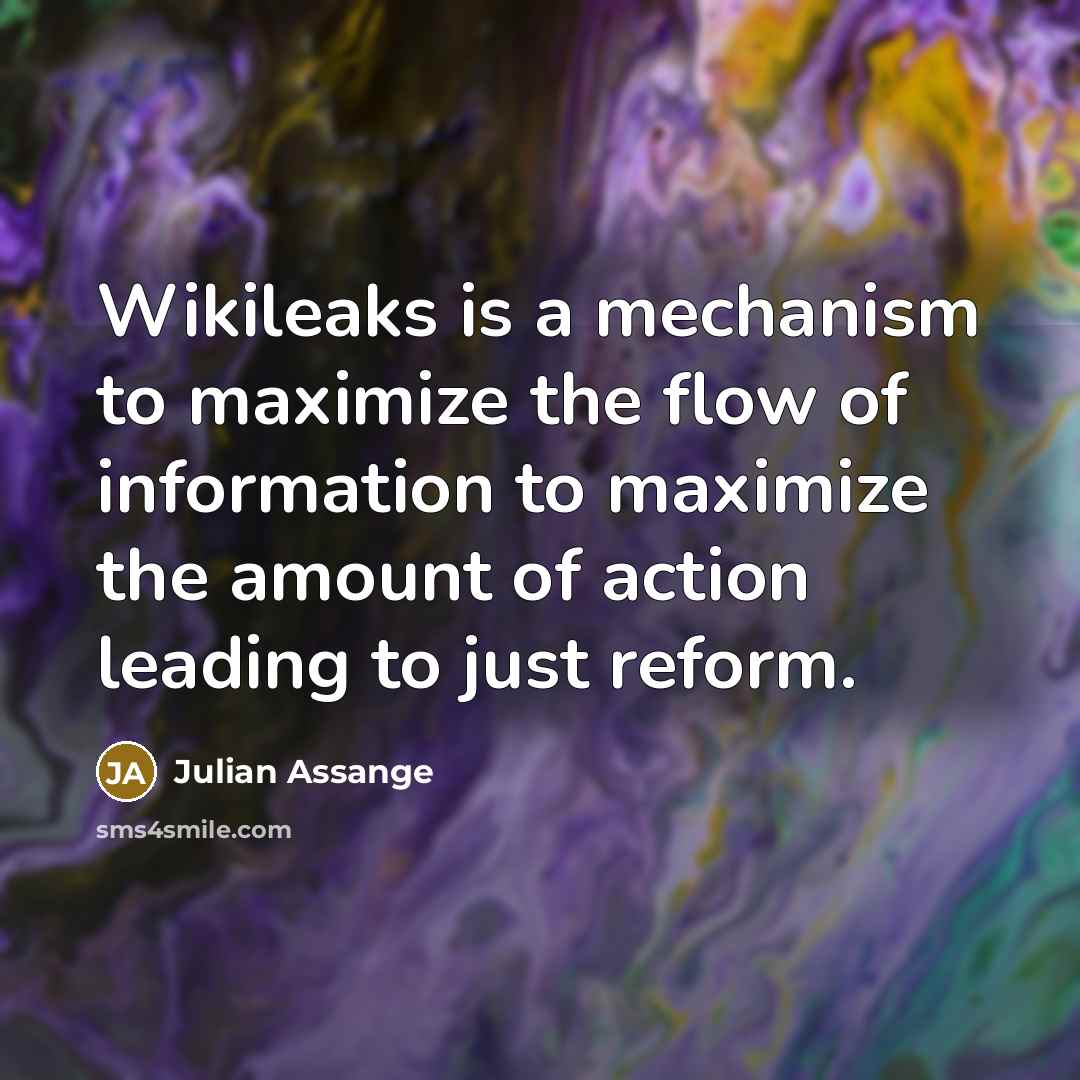 “Wikileaks is a mechanism to maximize the flow of information…” quote by Julian Assange