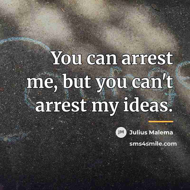 “You can arrest me, but you can't arrest my ideas.…” quote by Julius Malema