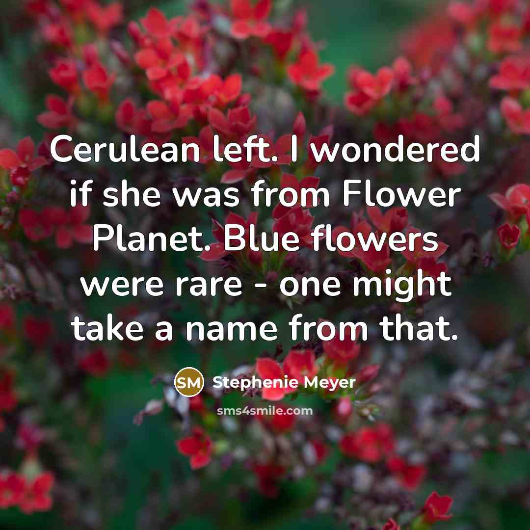 “Cerulean left. I wondered if she was from Flower Planet.…” quote by Stephenie Meyer