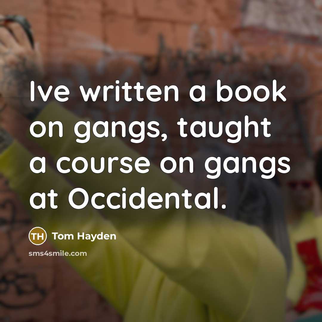 “Ive written a book on gangs, taught a course on…” quote by Tom Hayden