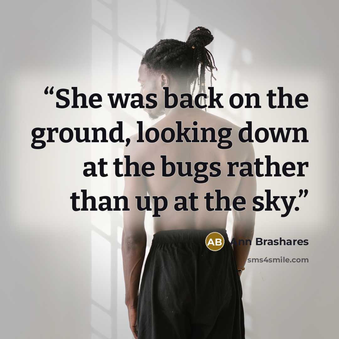 “She was back on the ground, looking down at the bugs rather than up at the sky.” quote by Ann Brashares