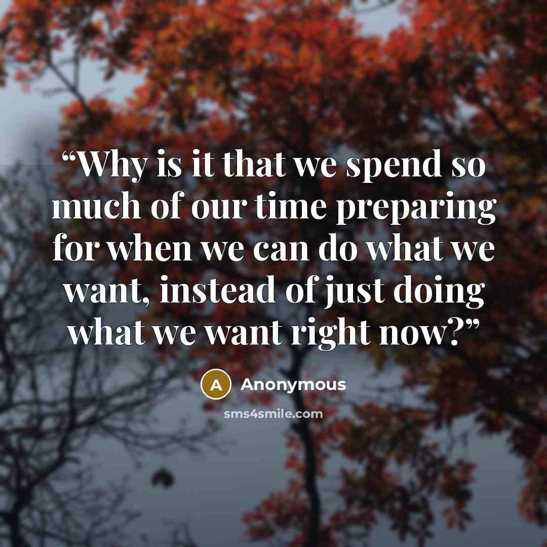 “Why is it that we spend so much of our time preparing for when we can do what we want, instead of just doing what we want right now?” quote by Anonymous