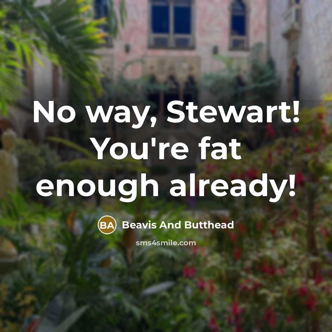 “No way, Stewart! You're fat enough already!” quote by Beavis And Butthead