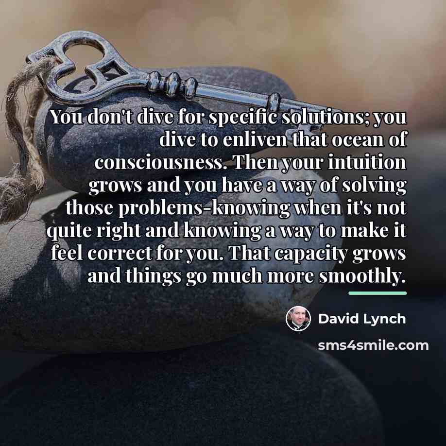 “You don't dive for specific solutions; you dive to enliven…” quote by David Lynch