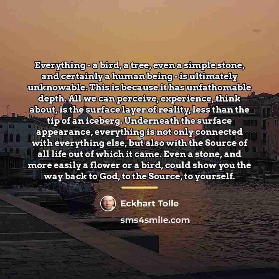 “Everything - a bird, a tree, even a simple stone,…” quote by Eckhart Tolle
