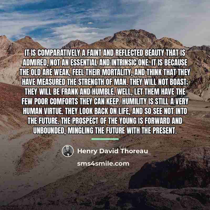 “It is comparatively a faint and reflected beauty that is…” quote by Henry David Thoreau