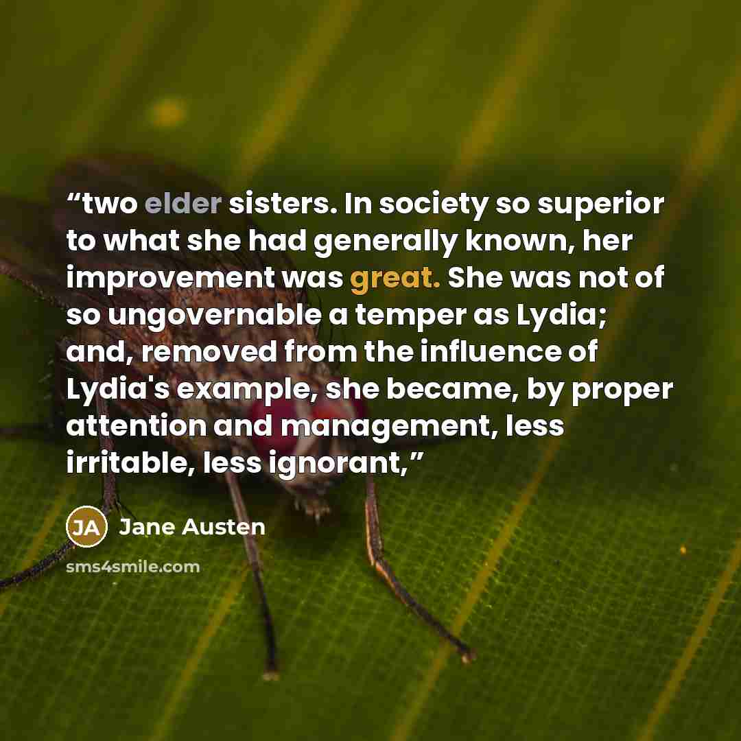 “two elder sisters. In society so superior to what she had generally known, her improvement was great. She was not of so ungovernable a temper as Lydia; and, removed from the influence of Lydia's example, she became, by proper attention and management, less irritable, less ignorant,” quote by Jane Austen