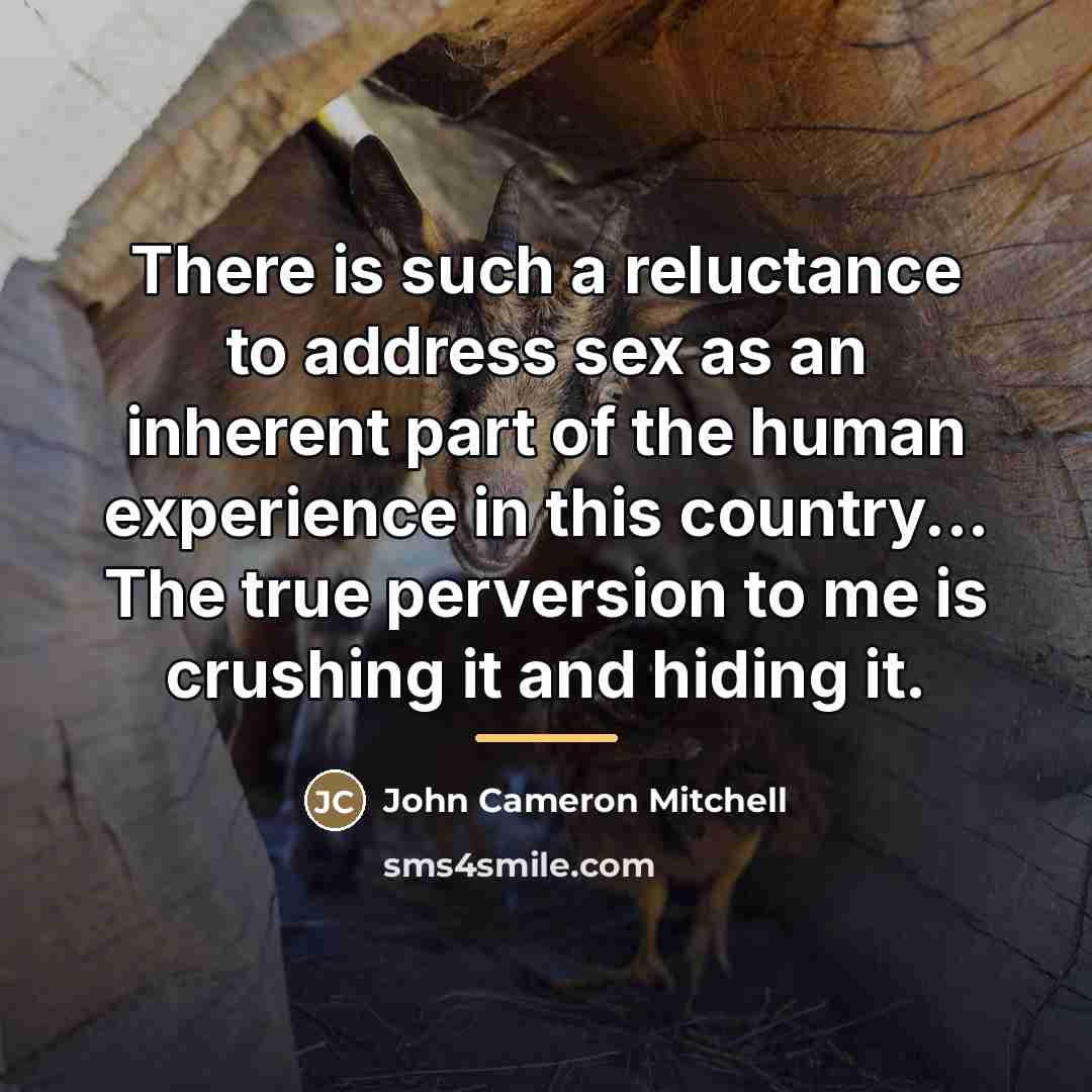 “There is such a reluctance to address sex as an…” quote by John Cameron Mitchell