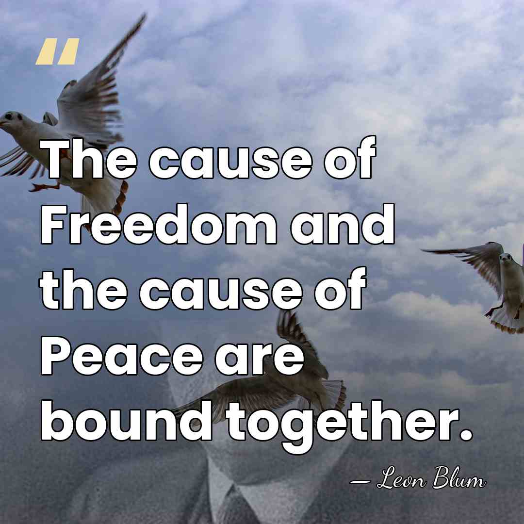 The cause of Freedom and the cause of Peace are bound together. - Leon Blum