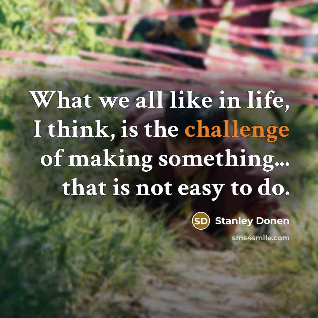 “What we all like in life, I think, is the…” quote by Stanley Donen