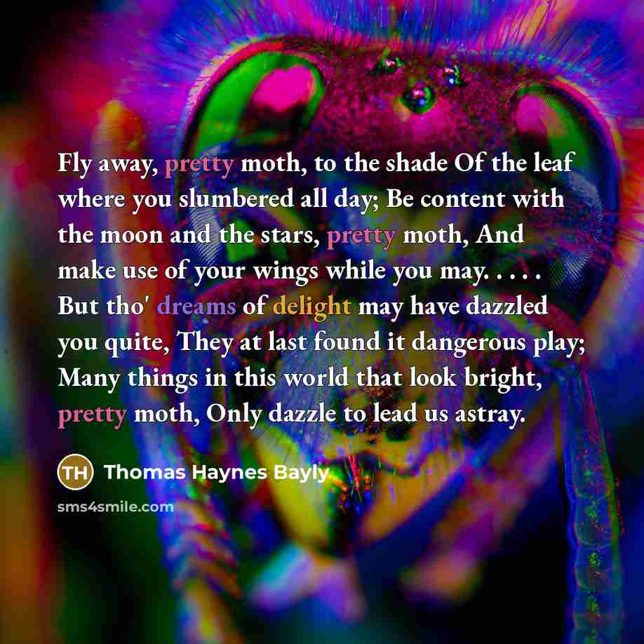“Fly away, pretty moth, to the shade Of the leaf…” quote by Thomas Haynes Bayly