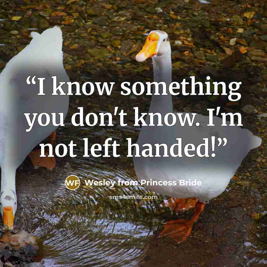 “I know something you don't know. I'm not left handed!” quote by Wesley from Princess Bride