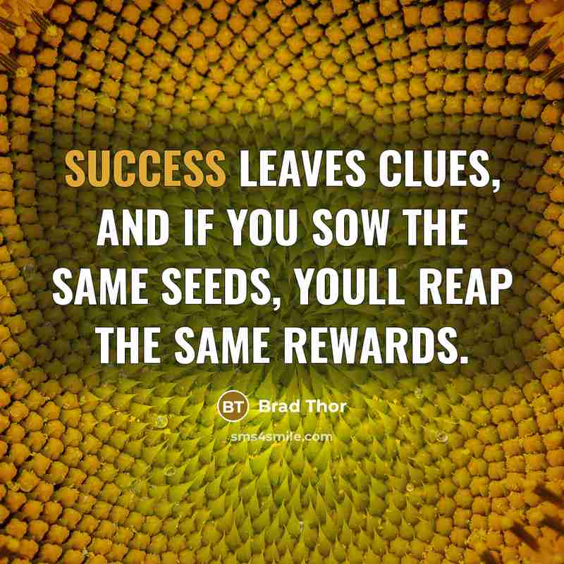 “Success leaves clues, and if you sow the same seeds,…” quote by Brad Thor